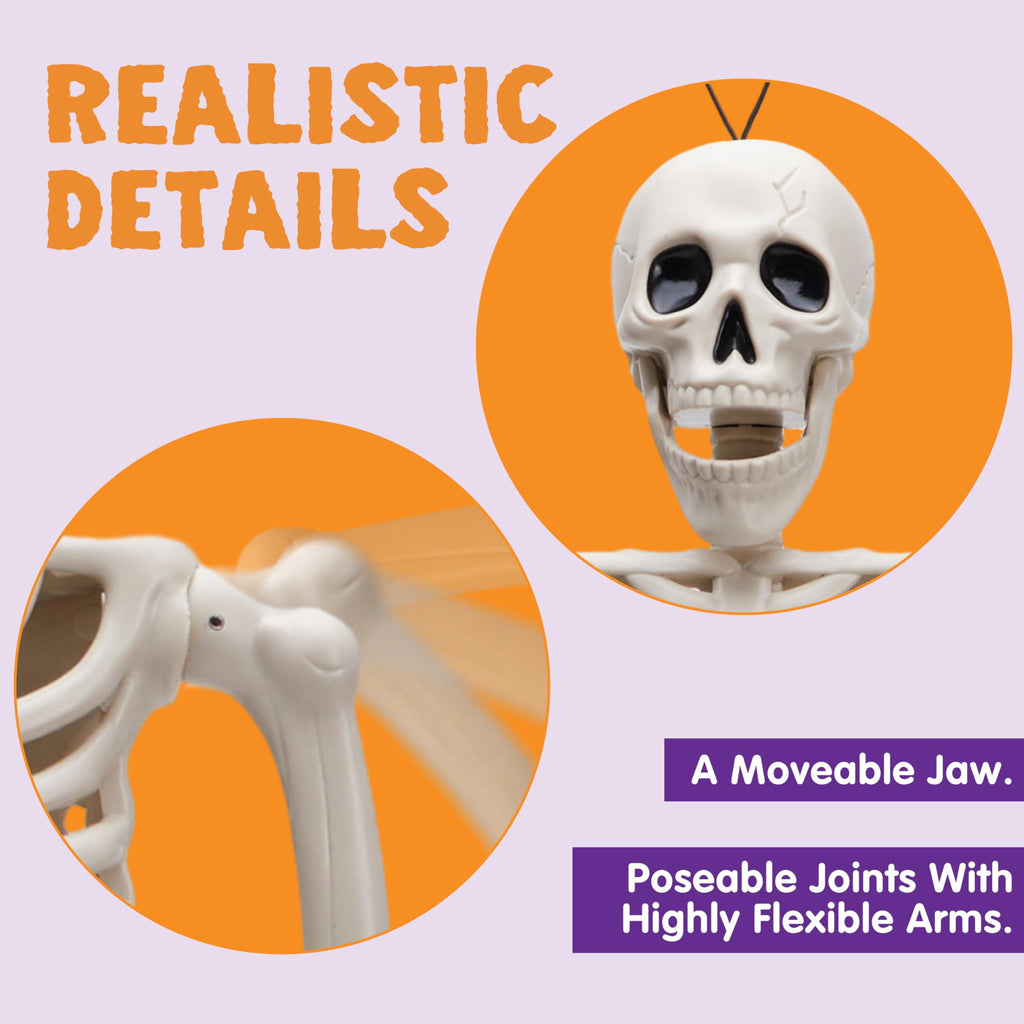 Joyfy 2 Pcs 24 Inch Halloween Skeleton Decor,2 FT Posable Skeleton Halloween Prop for Haunted House Indoor Outdoor Decoration Spooky Decor,Full Body with Movable Joints for Halloween Decoration