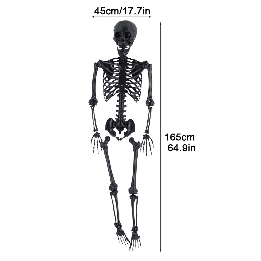 Cixusio 5.4Ft/165cm Halloween Skeleton Full Body Life Size Human Bones with Movable Joints for Indoor Outdoor Haunted House Party Halloween Props Decorations