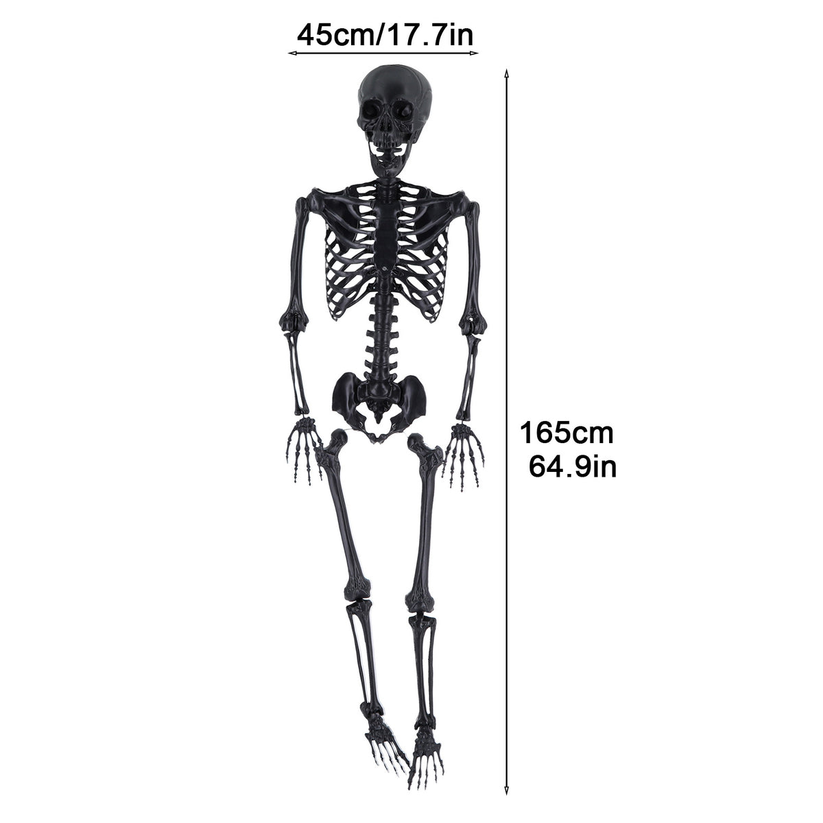 Cixusio 5.4Ft/165cm Halloween Skeleton Full Body Life Size Human Bones with Movable Joints for Indoor Outdoor Haunted House Party Halloween Props Decorations