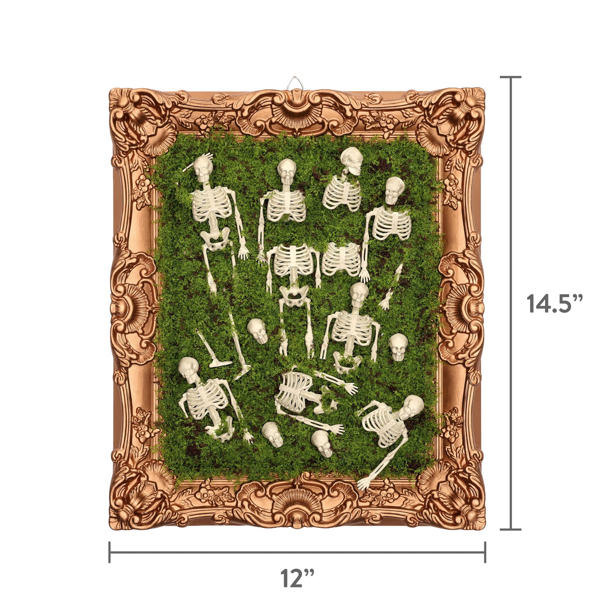 Skeleton Moss Framed Wall Art, Multicolor, 12" x 14.5", Halloween by Way To Celebrate