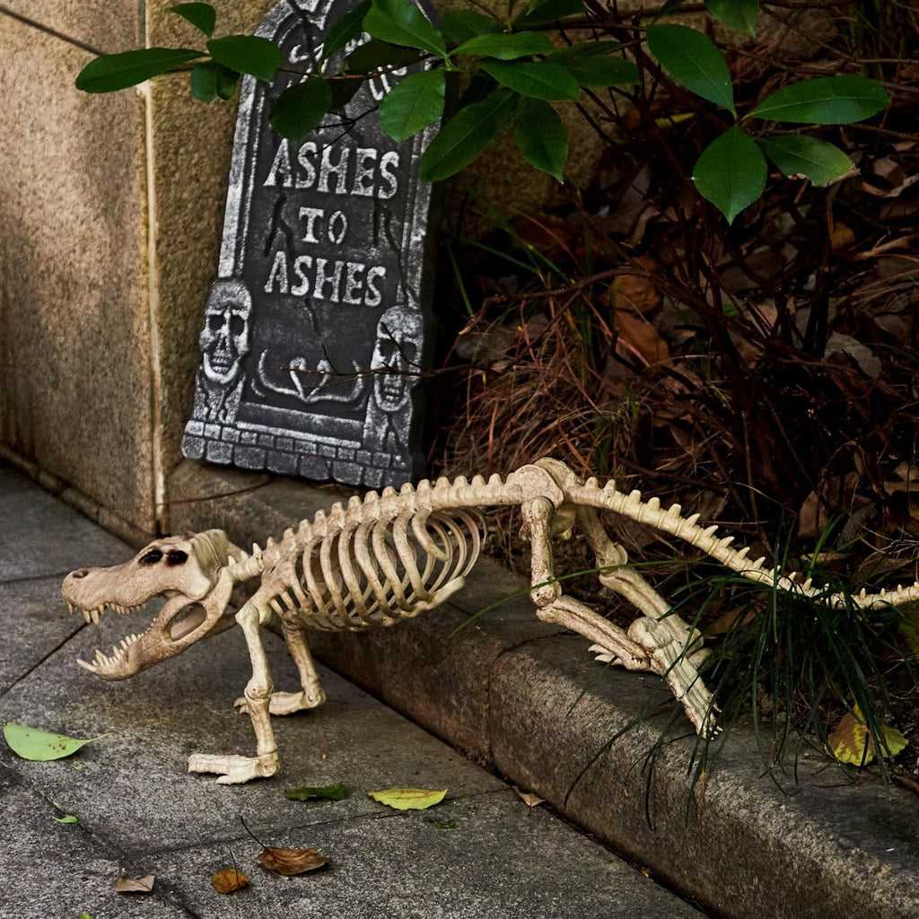 Joyfy 28" Crocodiles Skeleton Halloween Decorations with Posable Joints for Halloween Party Outdoor Indoor Decor