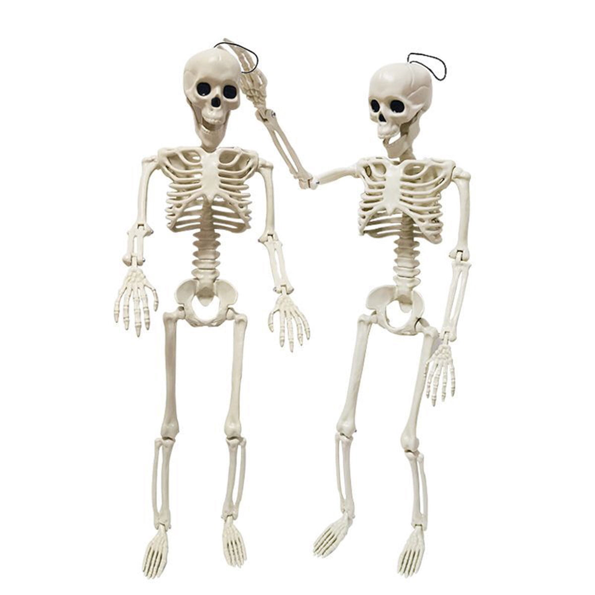 Beautynvta Posable Halloween Skeletons Decor, 15''x4.7'' Small Hanging Skeleton with Movable Joints for Halloween Decorations, Graveyard Props