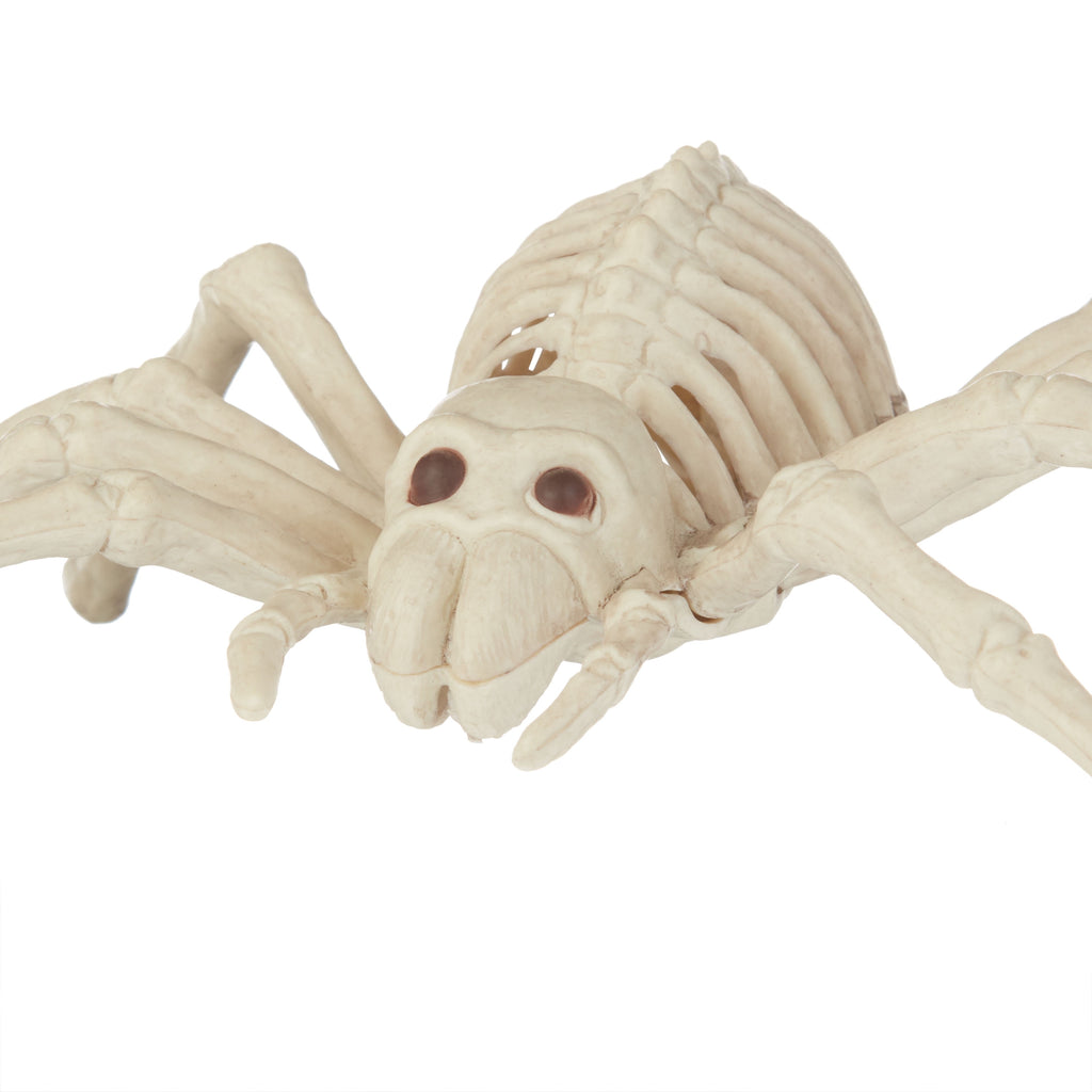 Official Crazybonez Faux Rat Skeleton