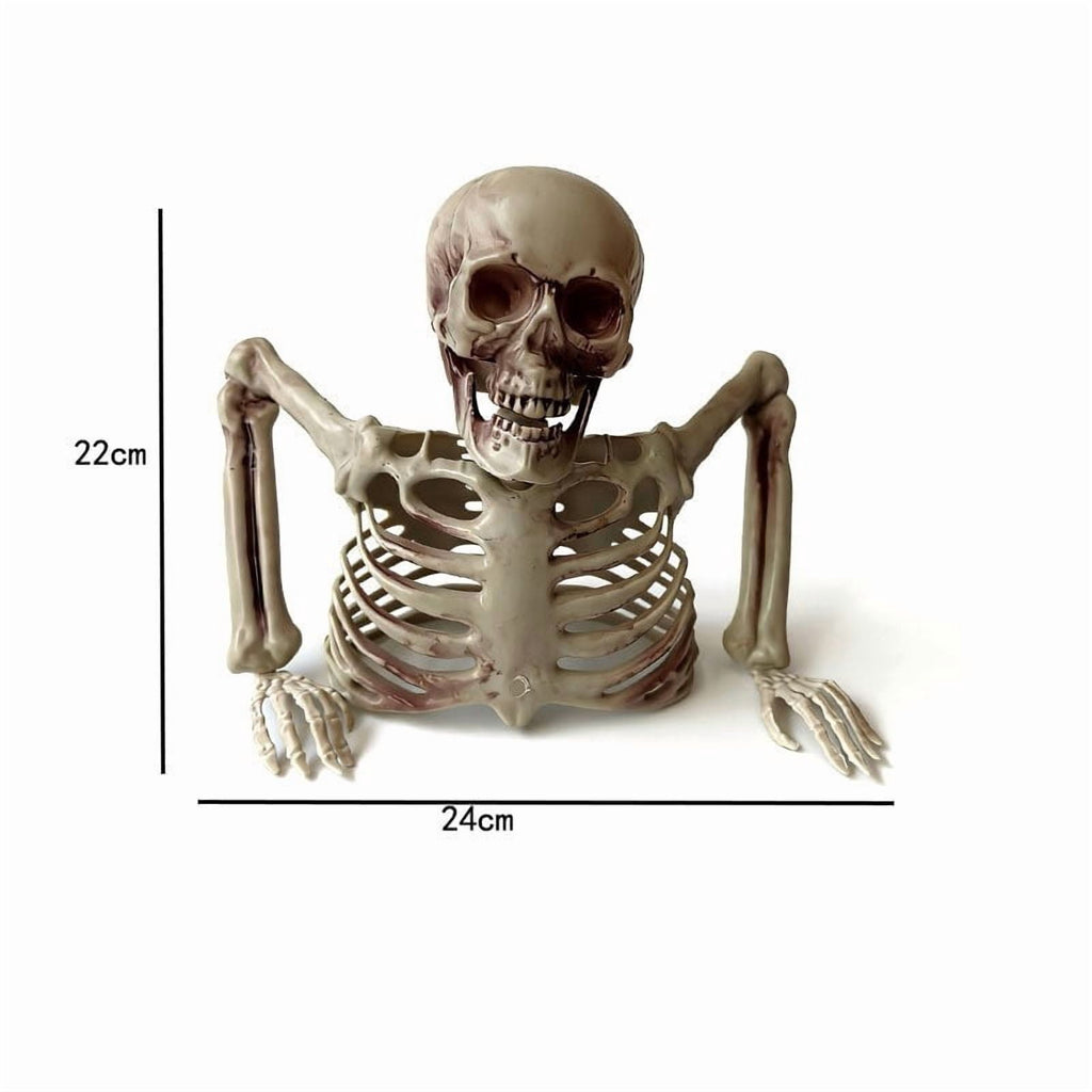 Realistic White Plastic Half Torso Skeleton Tabletop Prop, Detailed Human Half Skeleton Halloween Desktop Decor, Weatherproof Indoor Outdoor Reusable Spooky Party Ornament