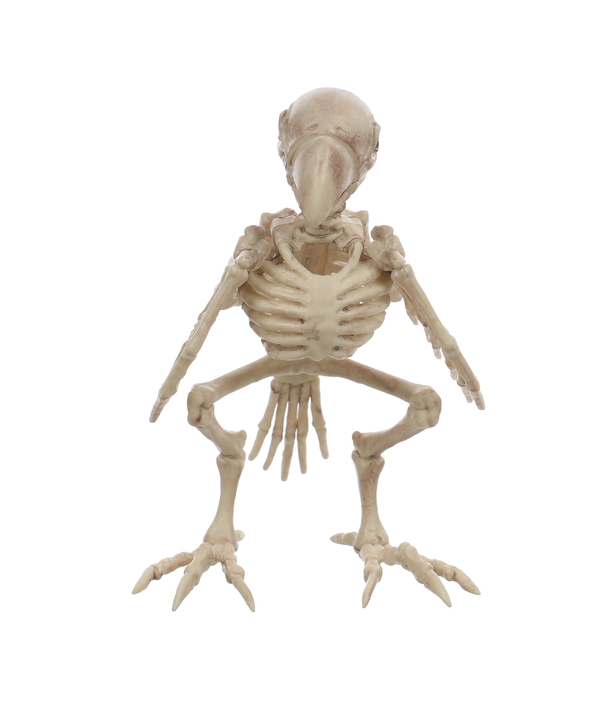 Official Crazybonez Faux Bat Skeleton