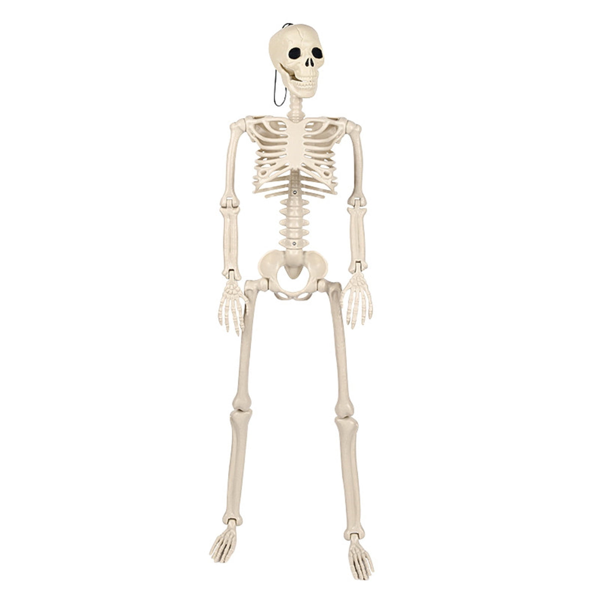 AUHomi 1 PC Halloween Skeleton, 15.7" Full Body Halloween Skeleton Decor with Movable Joints, Party Decorations, Halloween Outdoor Skeleton Decoration, Horror House Graveyard Props (S)