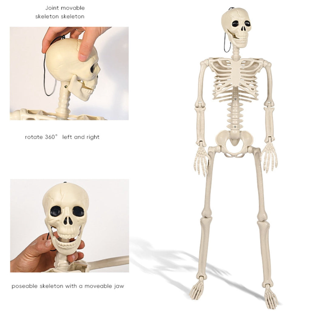 Plastic Posable Skeleton Model, 35.43in Halloween Skeleton Outdoor Decorations with Movable Joints for Escape Rooms, and Classrooms, Beige