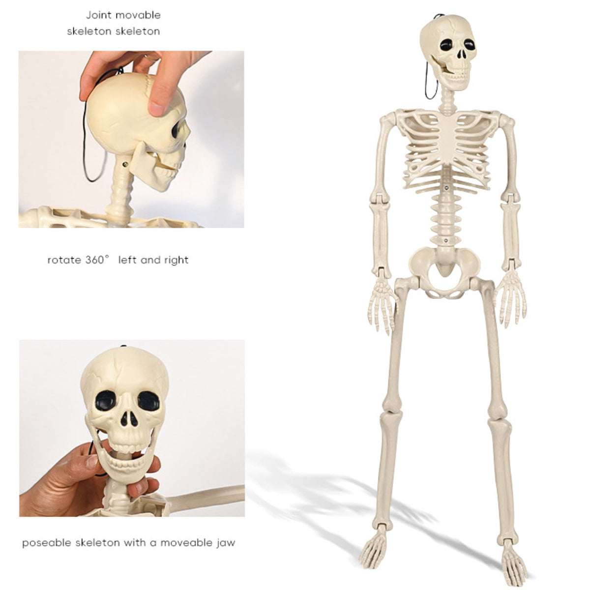 LmnLft Life Size Poseable Hanging Skeleton Decoration with Movable Joints, Full Body Halloween Prop for Indoor Outdoor Yard Party Displays