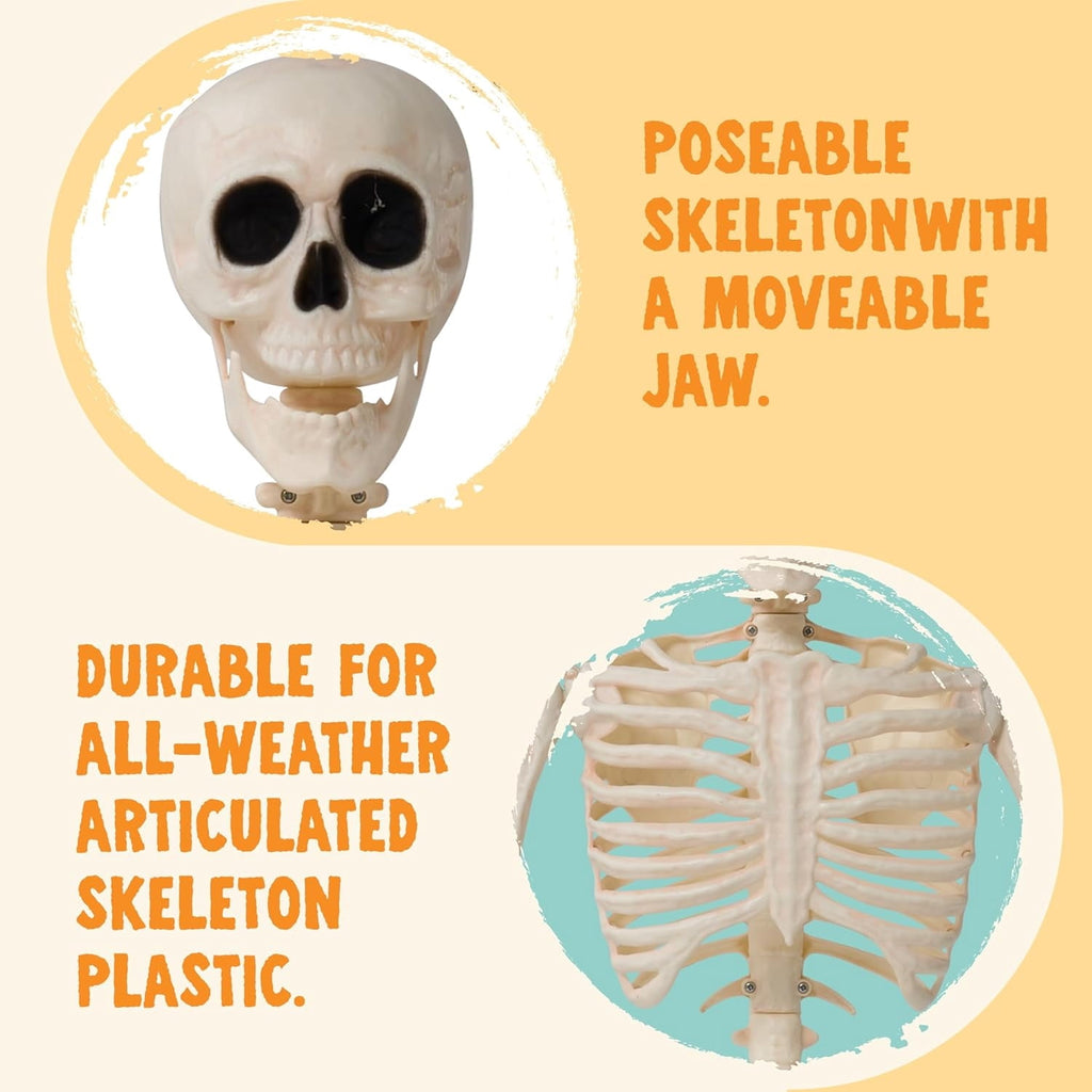 Joyfy 2 Pcs 24 Inch Halloween Skeleton Decor,2 FT Posable Skeleton Halloween Prop for Haunted House Indoor Outdoor Decoration Spooky Decor,Full Body with Movable Joints for Halloween Decoration