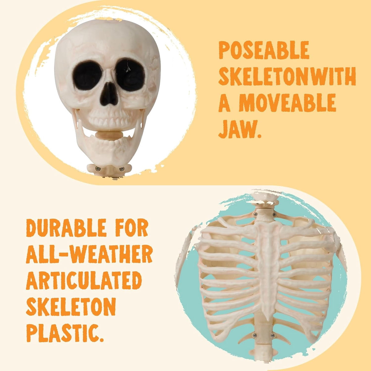 Joyfy 2 Pcs 24 Inch Halloween Skeleton Decor,2 FT Posable Skeleton Halloween Prop for Haunted House Indoor Outdoor Decoration Spooky Decor,Full Body with Movable Joints for Halloween Decoration