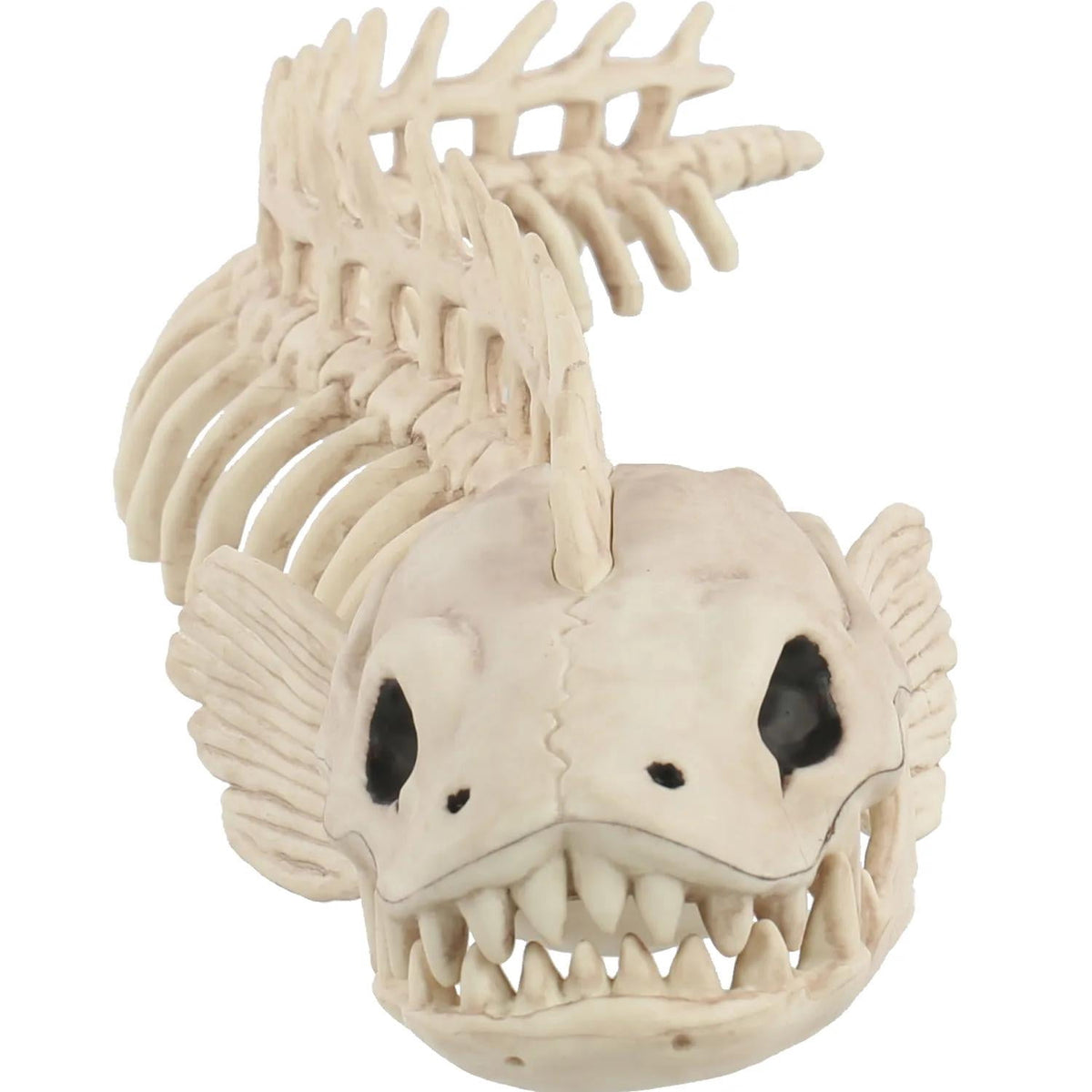 Seasons USA Eel Skeleton Prop Halloween Decoration -