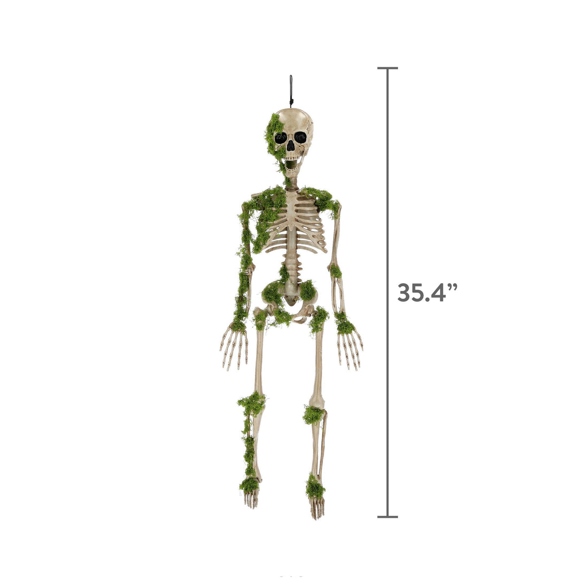 Moss Skeleton Decoration, Multicolor, 35.4", Halloween by Way To Celebrate