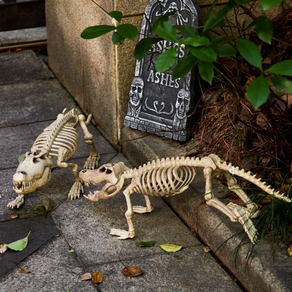 Joyfy 28" Crocodiles Skeleton Halloween Decorations with Posable Joints for Halloween Party Outdoor Indoor Decor