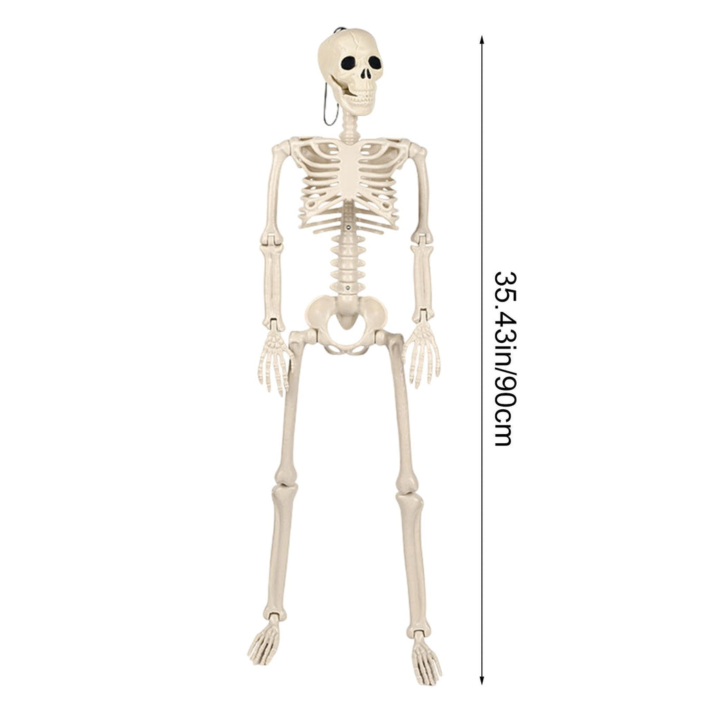 LmnLft Life Size Poseable Hanging Skeleton Decoration with Movable Joints, Full Body Halloween Prop for Indoor Outdoor Yard Party Displays