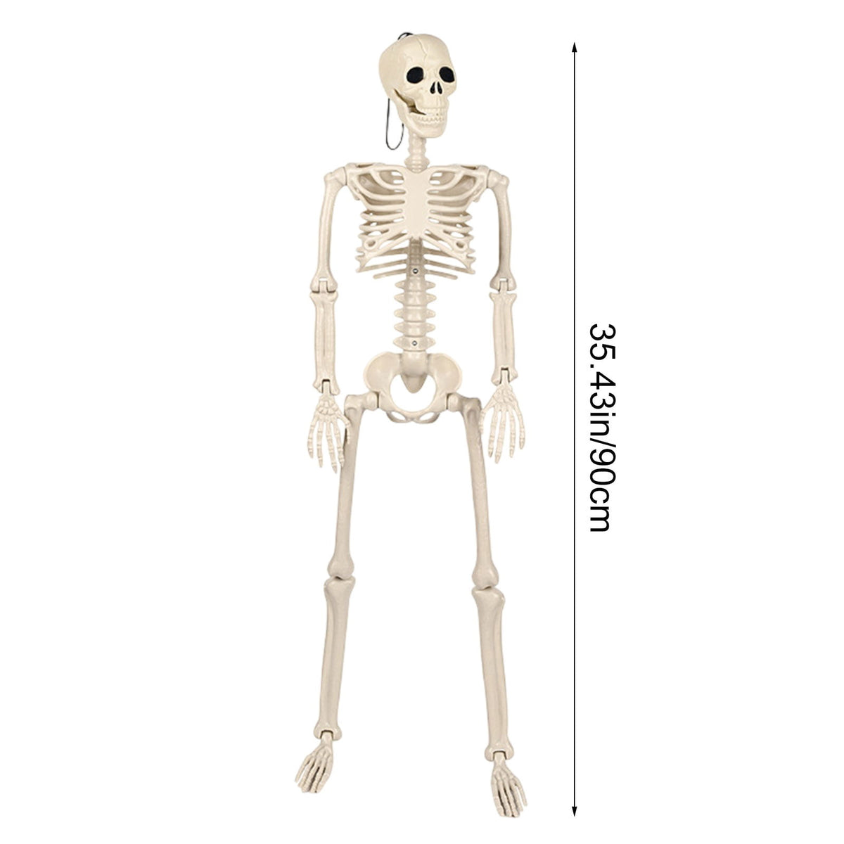 LmnLft Life Size Poseable Hanging Skeleton Decoration with Movable Joints, Full Body Halloween Prop for Indoor Outdoor Yard Party Displays