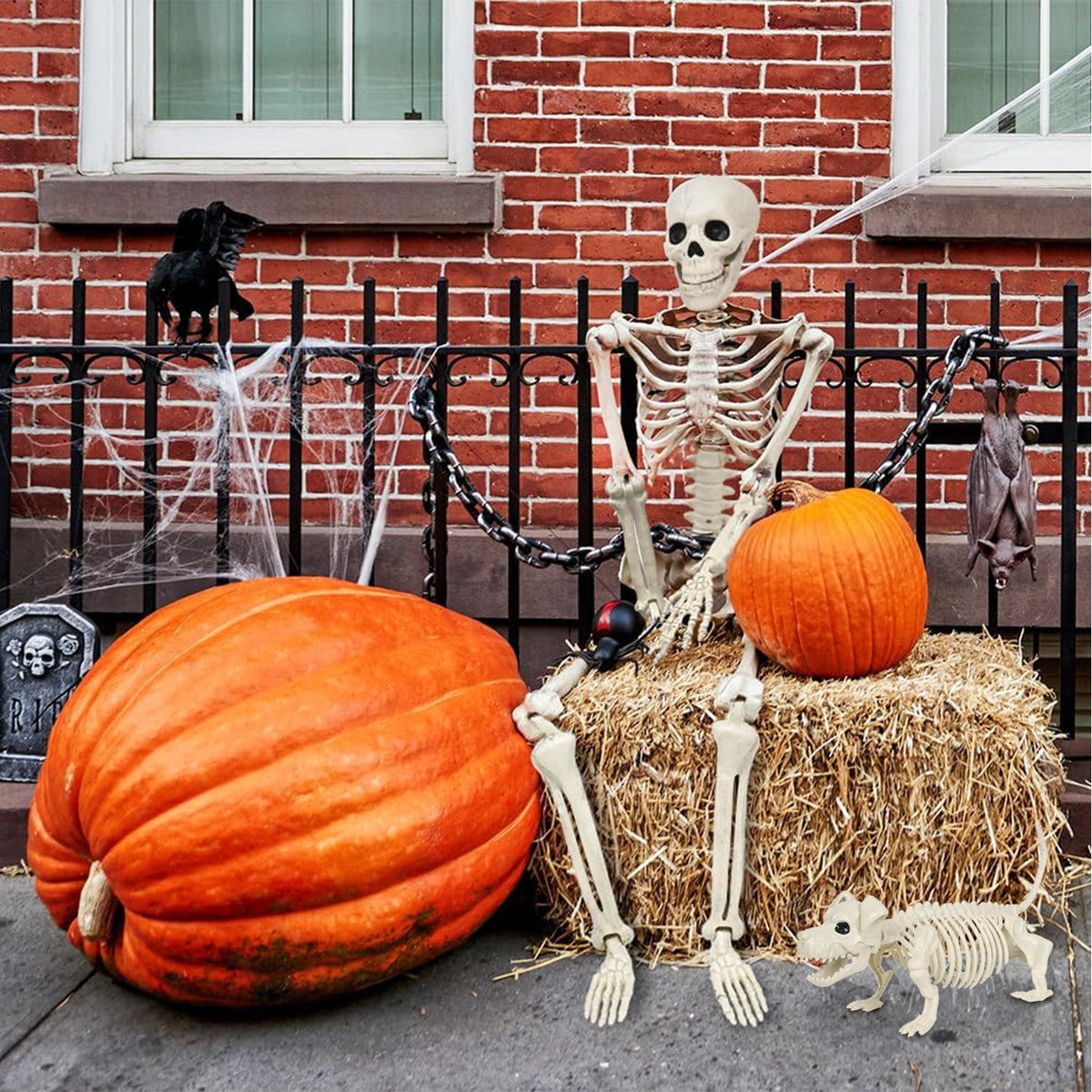 Seravin 2pcs Skeleton and Dog Skeleton Halloween Decorations Posable Skeletons Halloween Decorations Indoor Outdoor