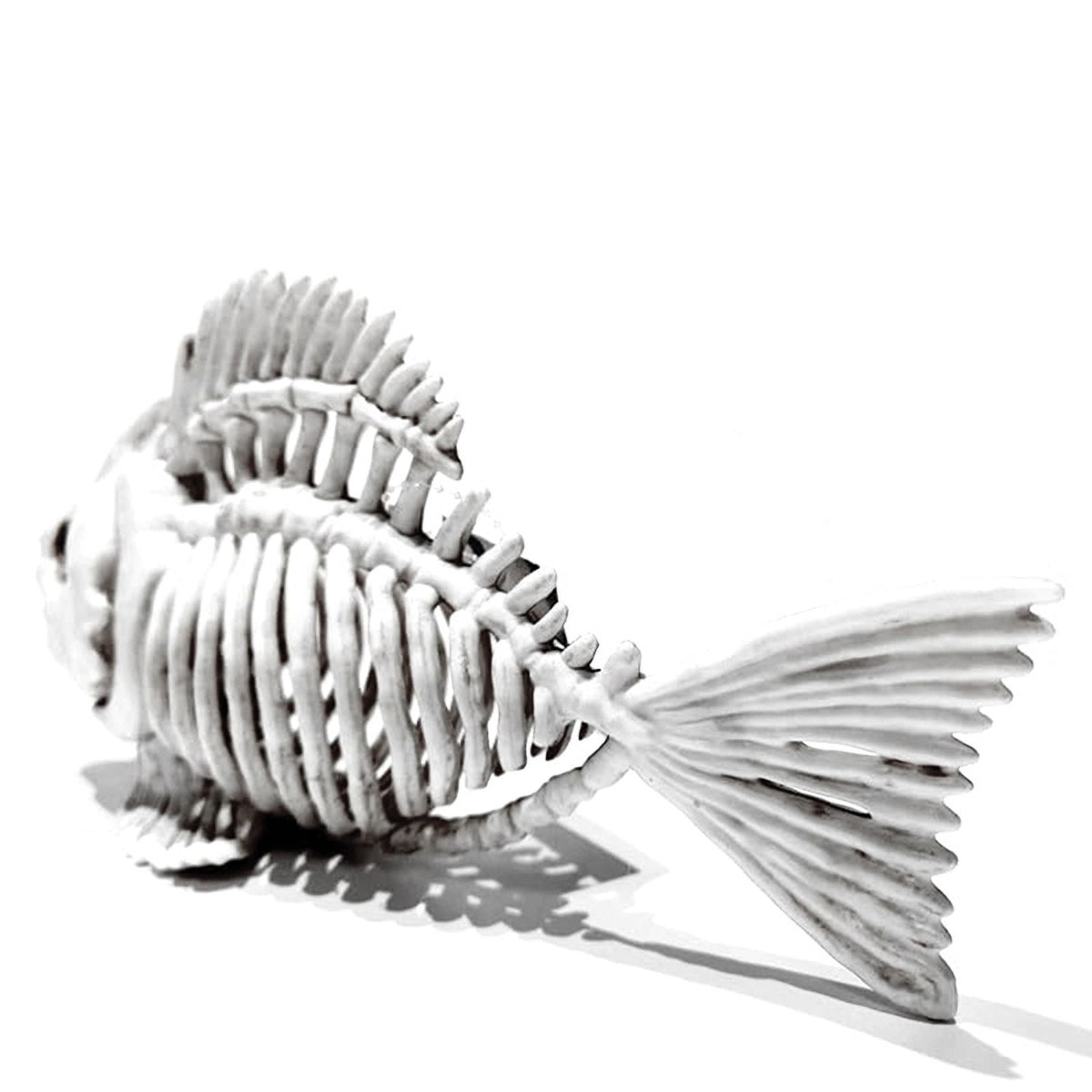Skeleton Fish Halloween Decor Model, Animal Carp Skull Fishes Bone Art Ornaments, for Home Room B