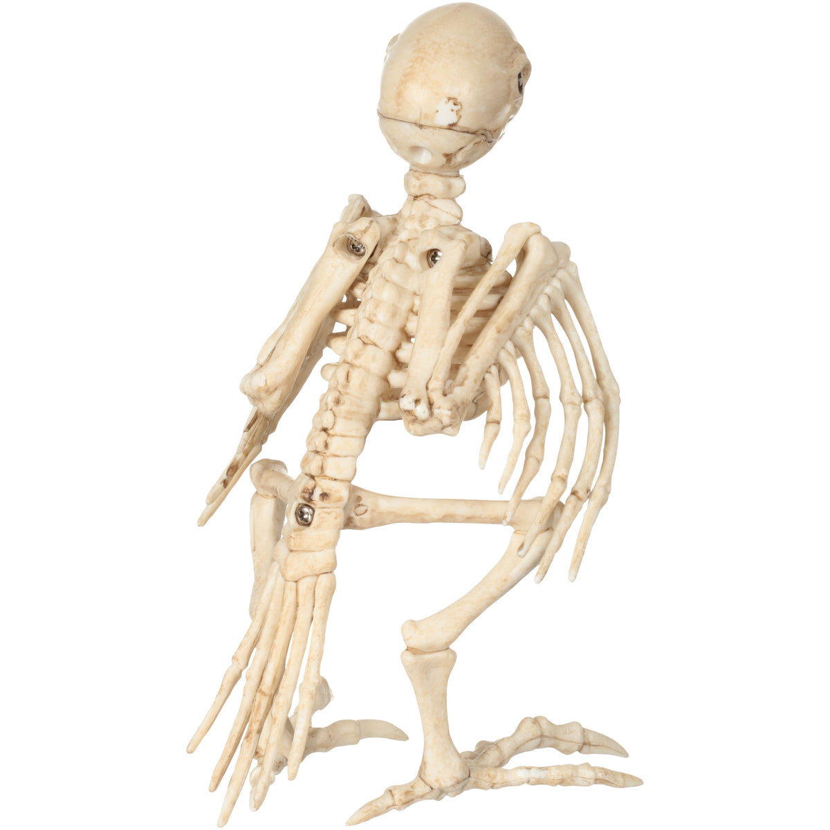 Official Crazybonez Faux Bat Skeleton