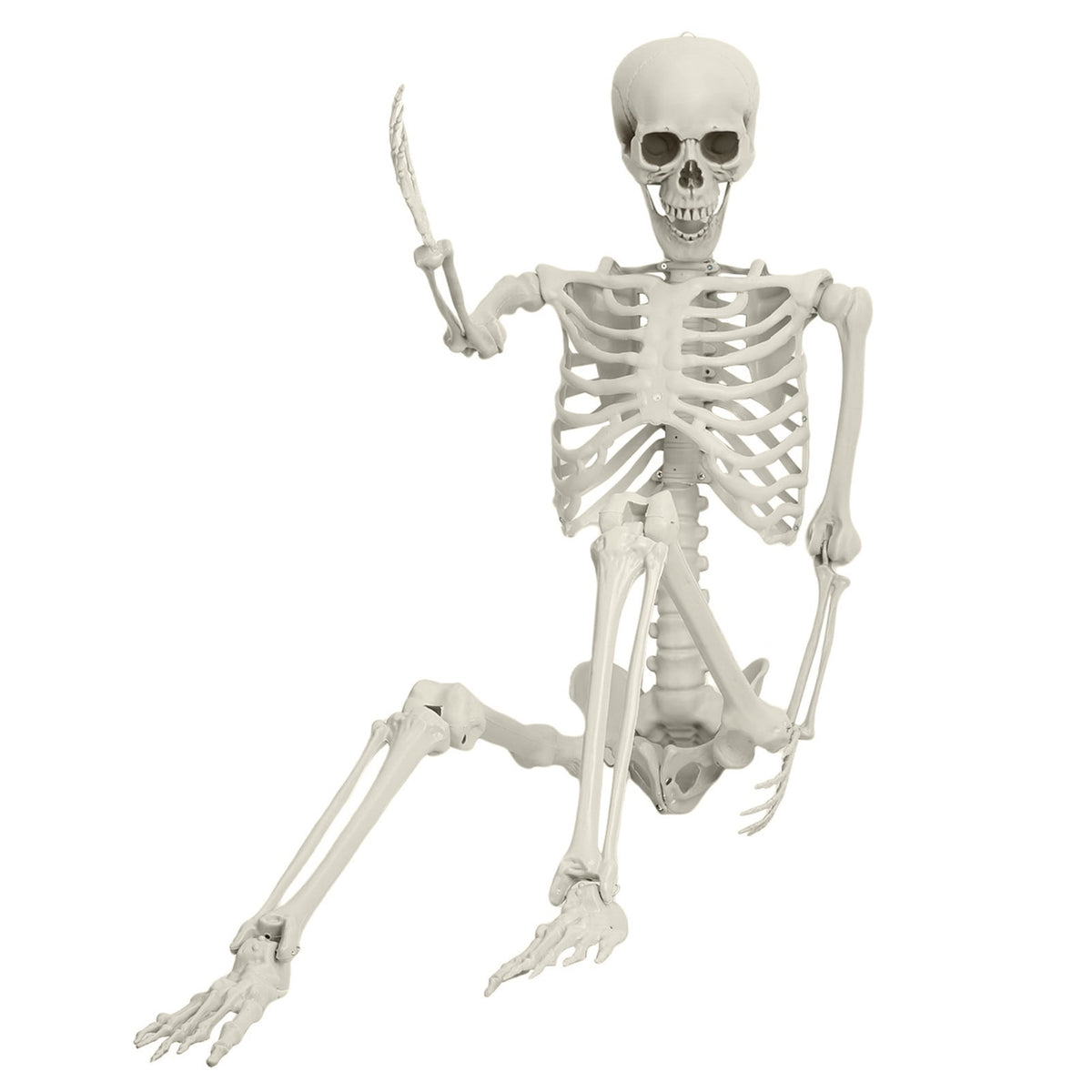 Yedigre 5.4FT HalloweenSkeleton Decor, Movable Joints Realistic Full Body Bones Skeleton Prop, No Light