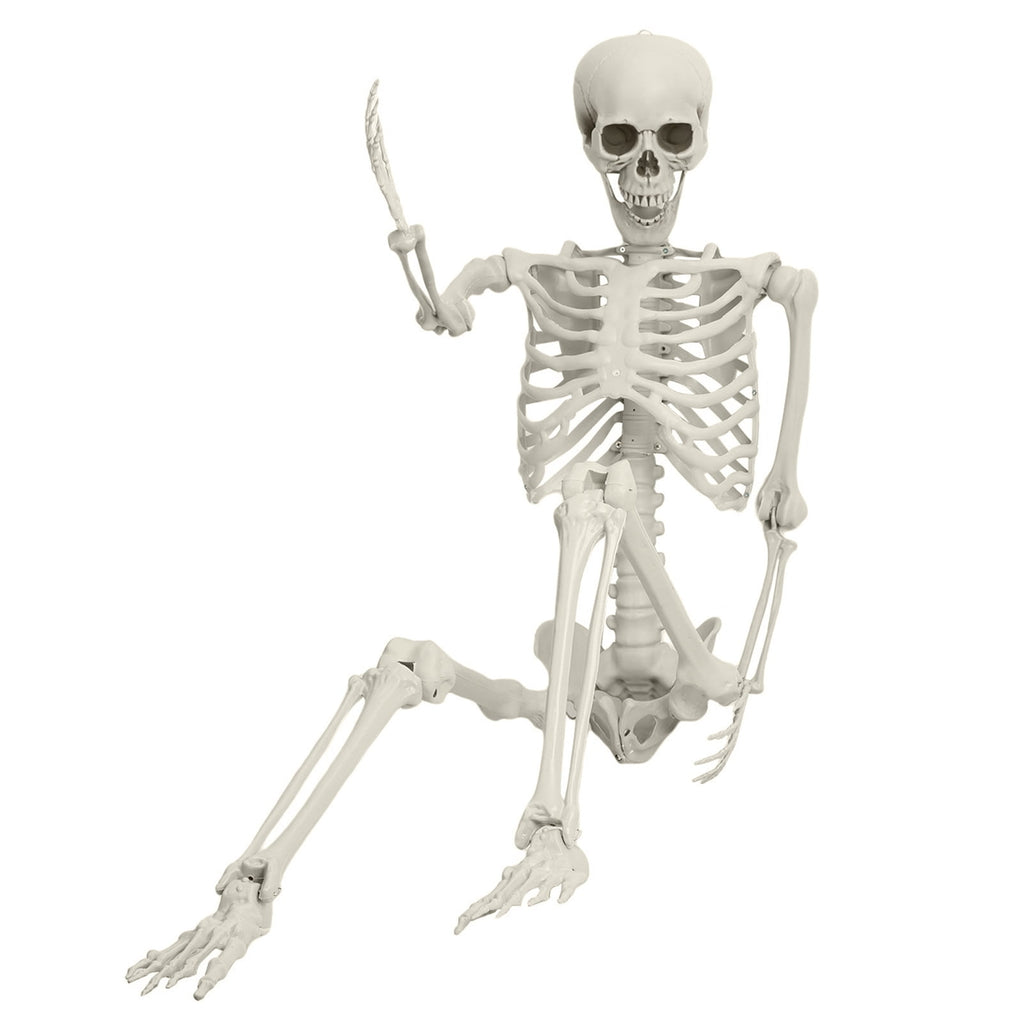 Cixusio 5.4Ft/165cm Halloween Skeleton Full Body Life Size Human Bones with Movable Joints for Indoor Outdoor Haunted House Party Halloween Props Decorations