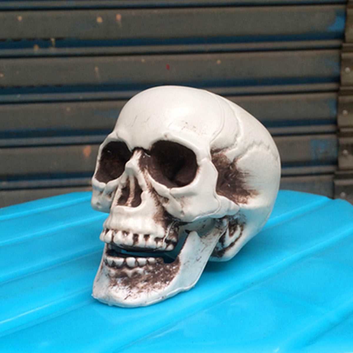 JoyMoreHome Halloween Skull Model Skeleton Halloween Outdoor Decoration Props Halloween Party Supplies