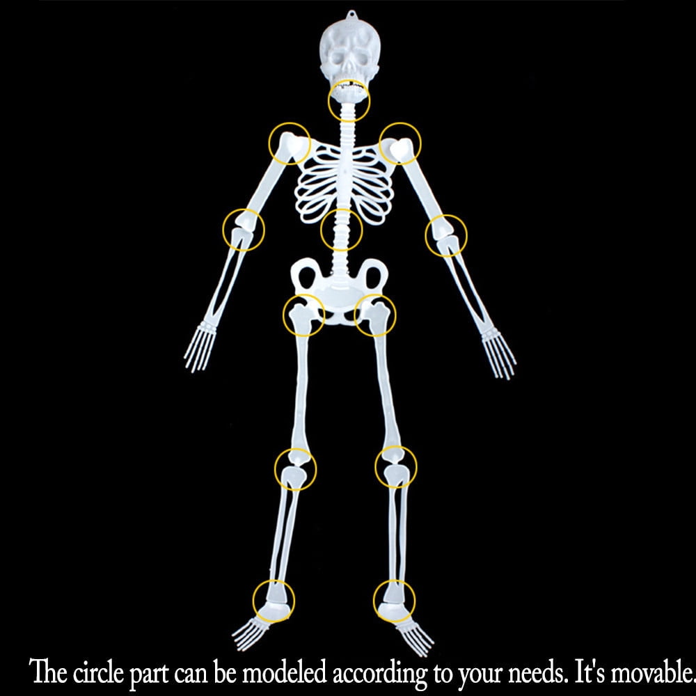 Realistic White Plastic Half Torso Skeleton Tabletop Prop, Detailed Human Half Skeleton Halloween Desktop Decor, Weatherproof Indoor Outdoor Reusable Spooky Party Ornament
