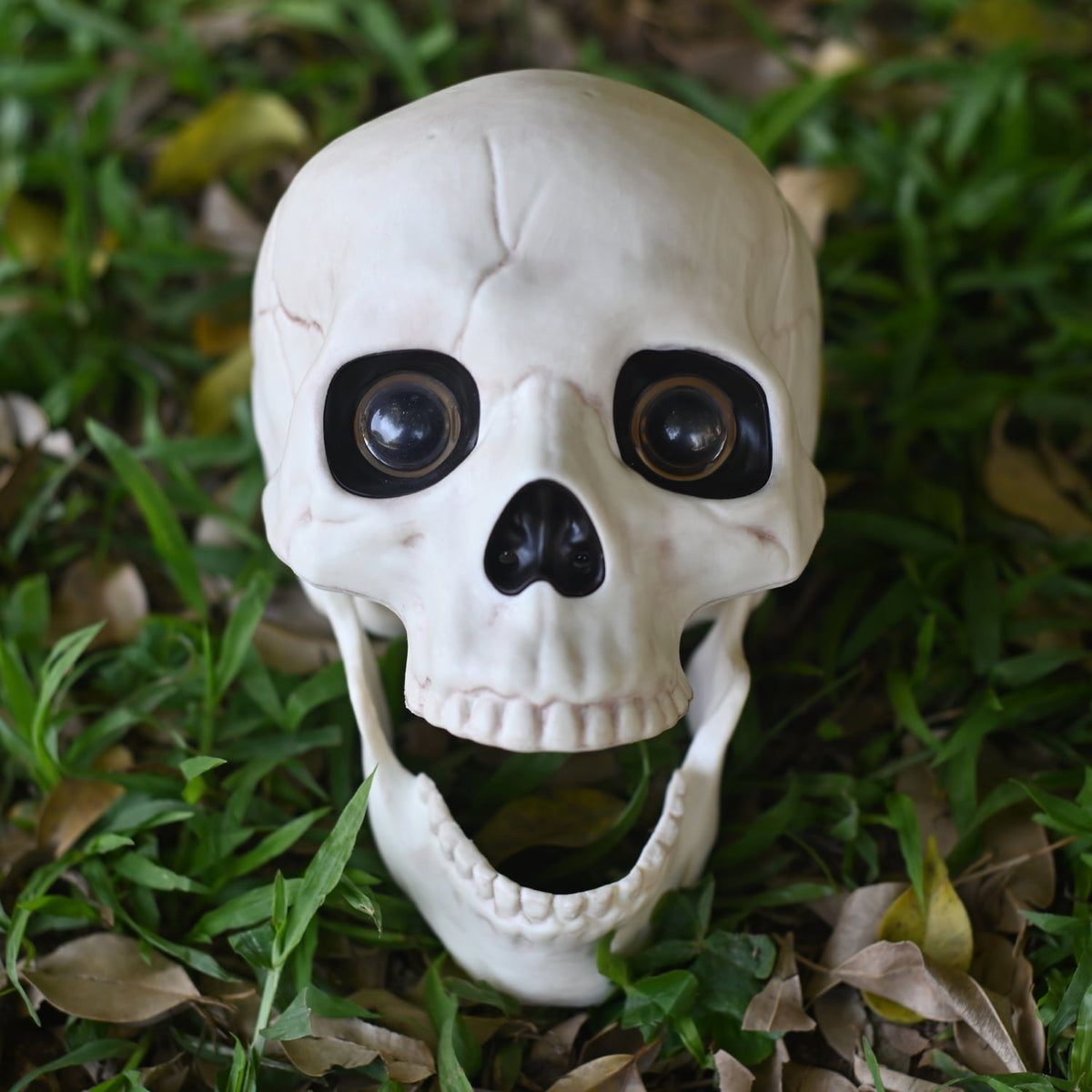 Seasons 5.8" Skull Skeleton Halloween Decoration Crazy Bonez Skeleton Line Sound and Light