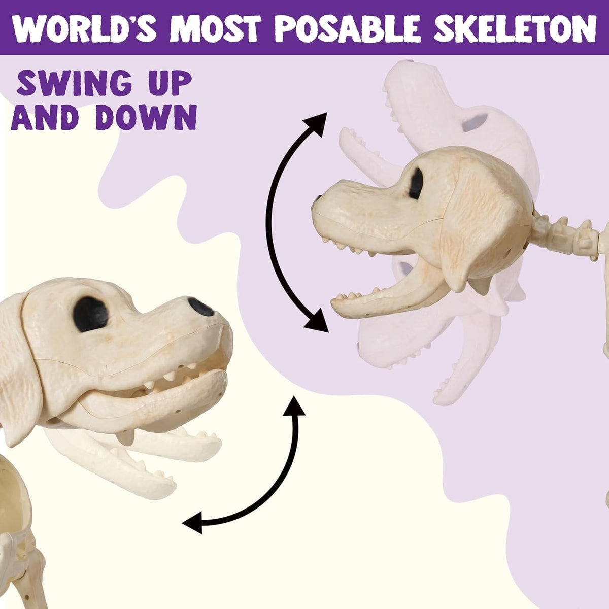 Joyfy 9.8 Inch Halloween Skeleton Dog Skeleton Halloween Decor,Pose-N-Stay Plastic Skeleton Bones with Posable Joints for Hallowmas Decoration Outdoor Haunted House Party