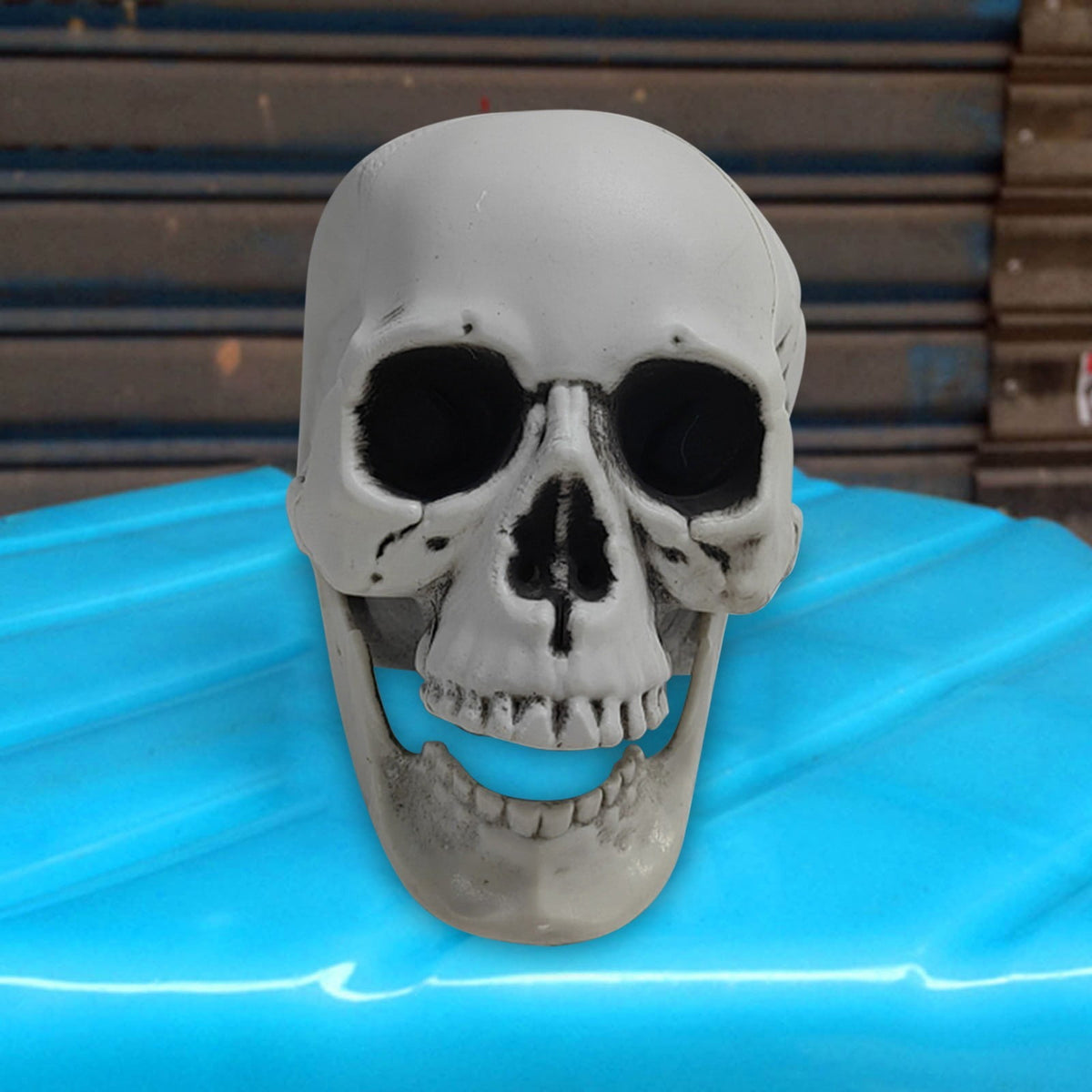 Darzheoy Halloween Skulls Halloween Skeletons Realistic Fake Simulation Human Skull Head Model Halloween Prop Realistic Mini Skeleton Spooky Halloween Decoration