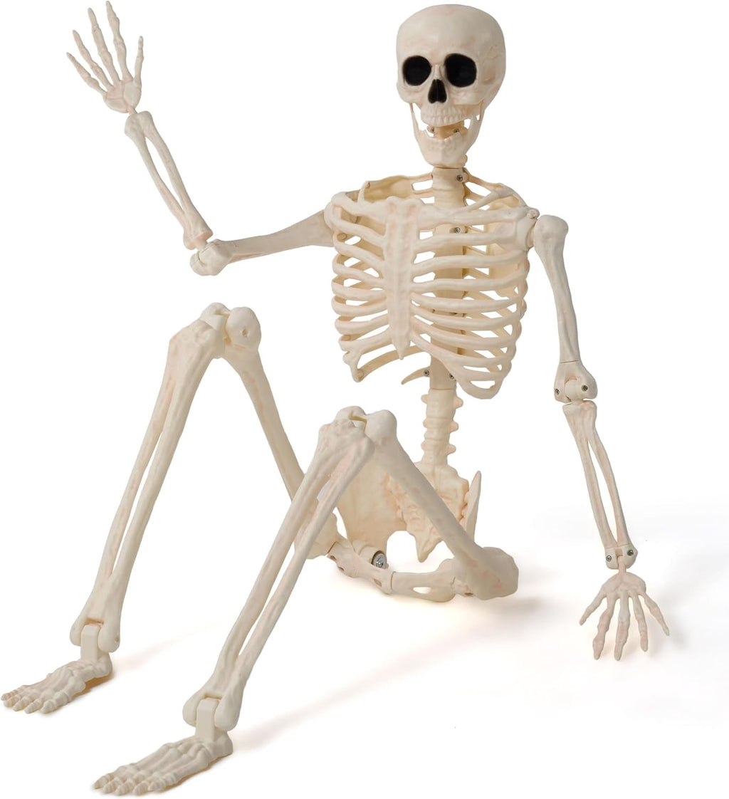 Joyfy 2 Pcs 24 Inch Halloween Skeleton Decor,2 FT Posable Skeleton Halloween Prop for Haunted House Indoor Outdoor Decoration Spooky Decor,Full Body with Movable Joints for Halloween Decoration