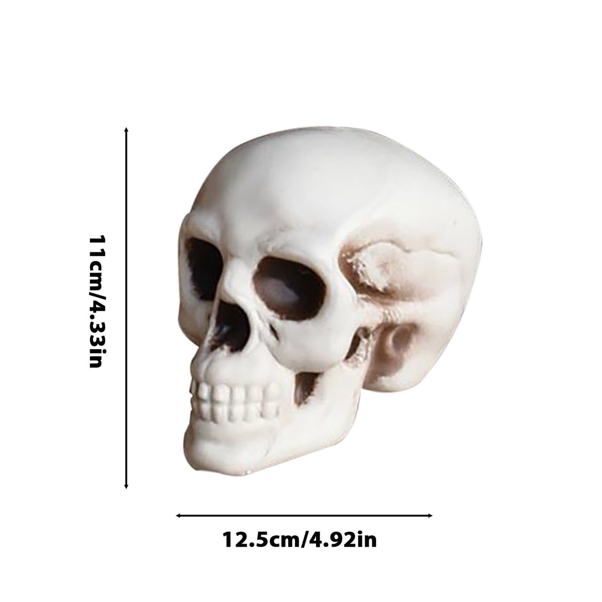 Darzheoy Halloween Skulls Halloween Skeletons Realistic Fake Simulation Human Skull Head Model Halloween Prop Realistic Mini Skeleton Spooky Halloween Decoration