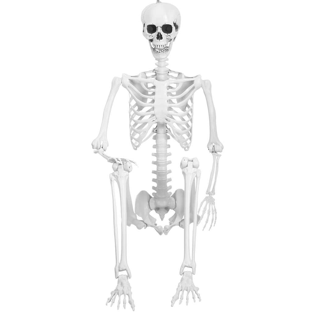 Cixusio 5.4Ft/165cm Halloween Skeleton Full Body Life Size Human Bones with Movable Joints for Indoor Outdoor Haunted House Party Halloween Props Decorations