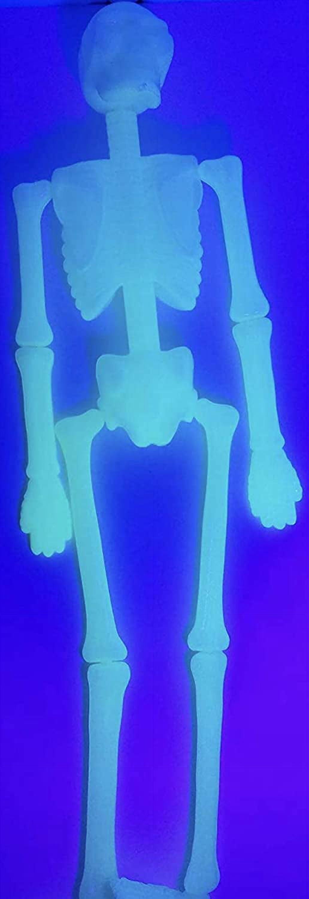 Halloween Glow in Dark Human Skeletons Dangling Articulate Plastic 18”H x 8”W x 2”D