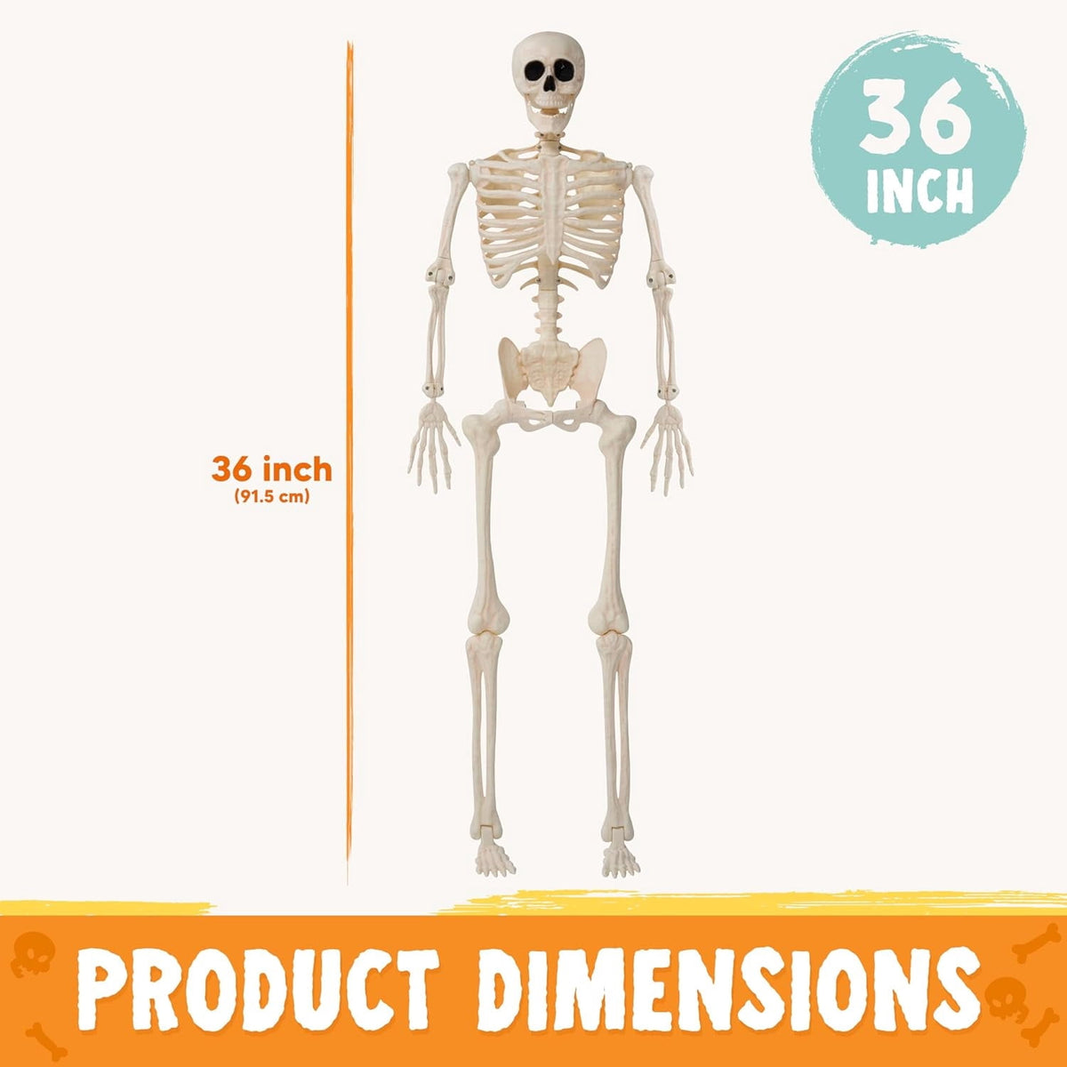 Joyfy 2 Pcs 24 Inch Halloween Skeleton Decor,2 FT Posable Skeleton Halloween Prop for Haunted House Indoor Outdoor Decoration Spooky Decor,Full Body with Movable Joints for Halloween Decoration