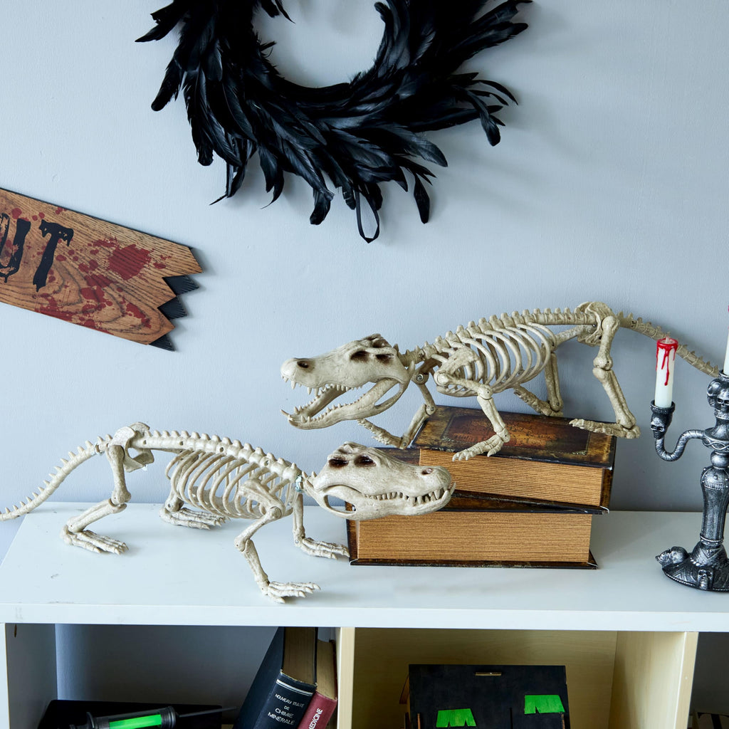 Joyfy 28" Crocodiles Skeleton Halloween Decorations with Posable Joints for Halloween Party Outdoor Indoor Decor