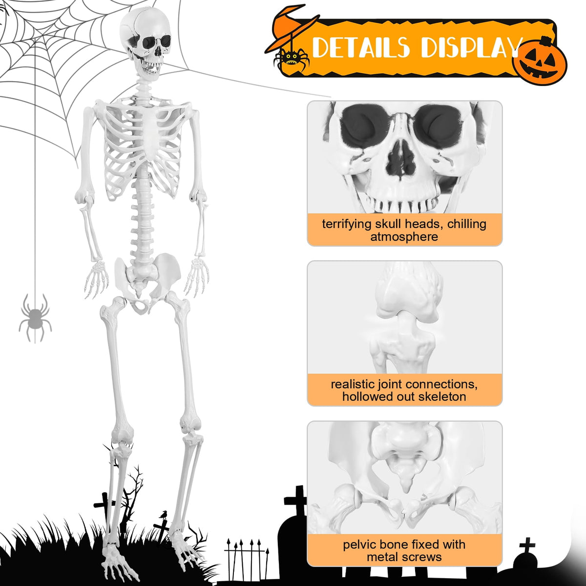 Cixusio 5.4Ft/165cm Halloween Skeleton Full Body Life Size Human Bones with Movable Joints for Indoor Outdoor Haunted House Party Halloween Props Decorations