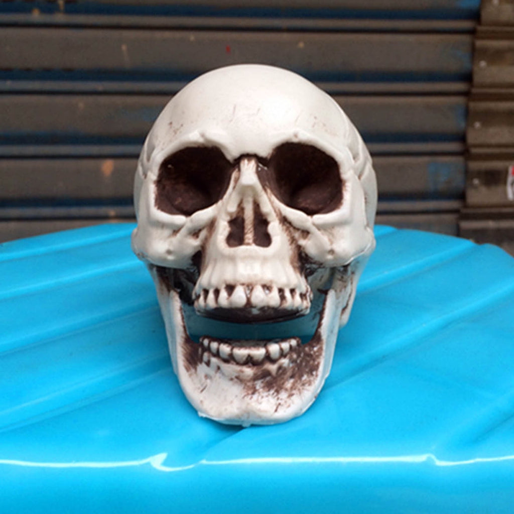 JoyMoreHome Halloween Skull Model Skeleton Halloween Outdoor Decoration Props Halloween Party Supplies