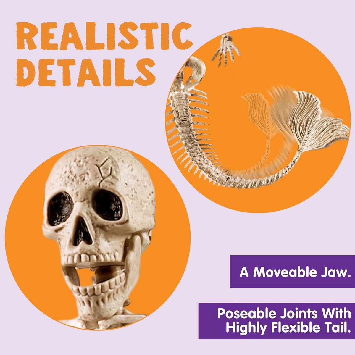 Joyfy 2 Pcs 24 Inch Halloween Skeleton Decor,2 FT Posable Skeleton Halloween Prop for Haunted House Indoor Outdoor Decoration Spooky Decor,Full Body with Movable Joints for Halloween Decoration