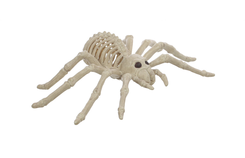 Official Crazybonez Faux Rat Skeleton