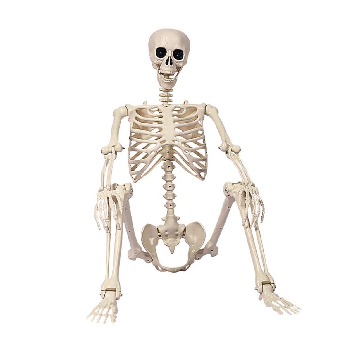 AUHomi 1 PC Halloween Skeleton, 15.7" Full Body Halloween Skeleton Decor with Movable Joints, Party Decorations, Halloween Outdoor Skeleton Decoration, Horror House Graveyard Props (S)