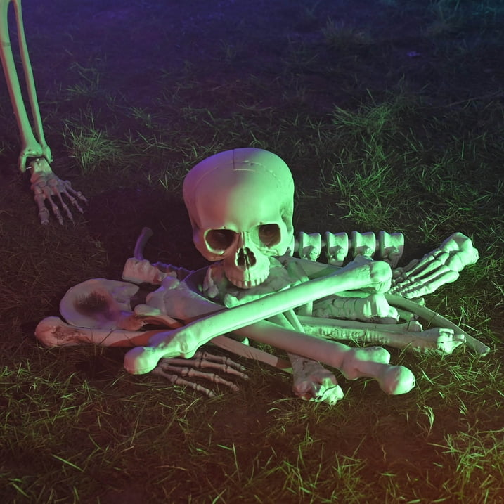 2025 Bag of Bones - 28 Pc Realistic Skeleton Bones & Skull Set for Halloween Decor (Lifesize Horror Props, DIY Party Scatter)