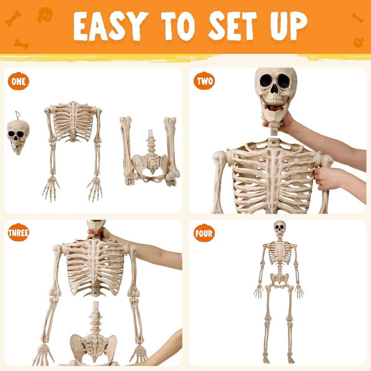 Joyfy 2 Pcs 24 Inch Halloween Skeleton Decor,2 FT Posable Skeleton Halloween Prop for Haunted House Indoor Outdoor Decoration Spooky Decor,Full Body with Movable Joints for Halloween Decoration