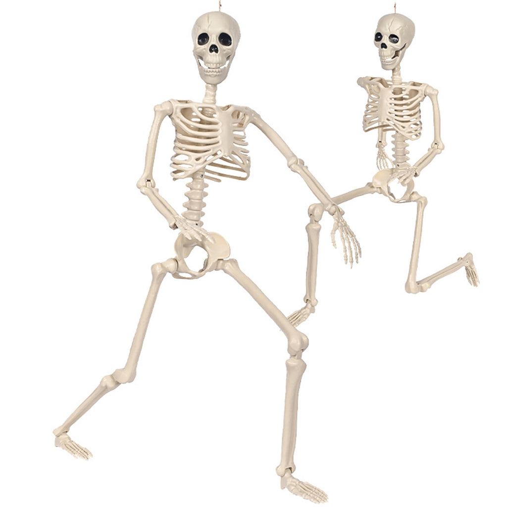 Realistic White Plastic Half Torso Skeleton Tabletop Prop, Detailed Human Half Skeleton Halloween Desktop Decor, Weatherproof Indoor Outdoor Reusable Spooky Party Ornament