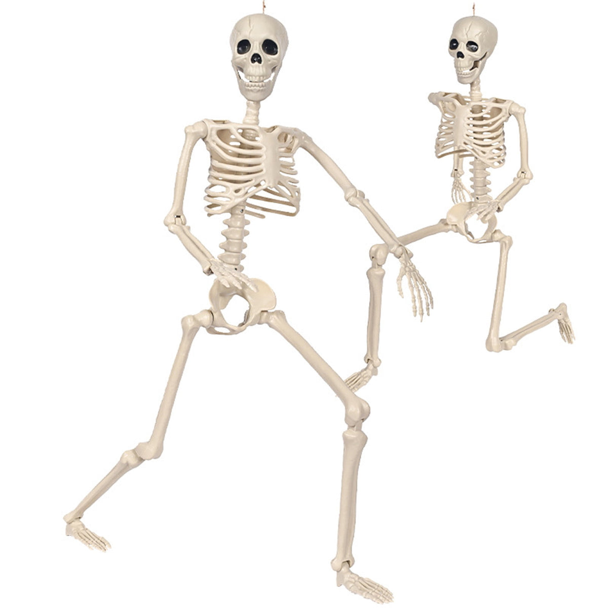 AUHomi 1 PC Halloween Skeleton, 15.7" Full Body Halloween Skeleton Decor with Movable Joints, Party Decorations, Halloween Outdoor Skeleton Decoration, Horror House Graveyard Props (S)