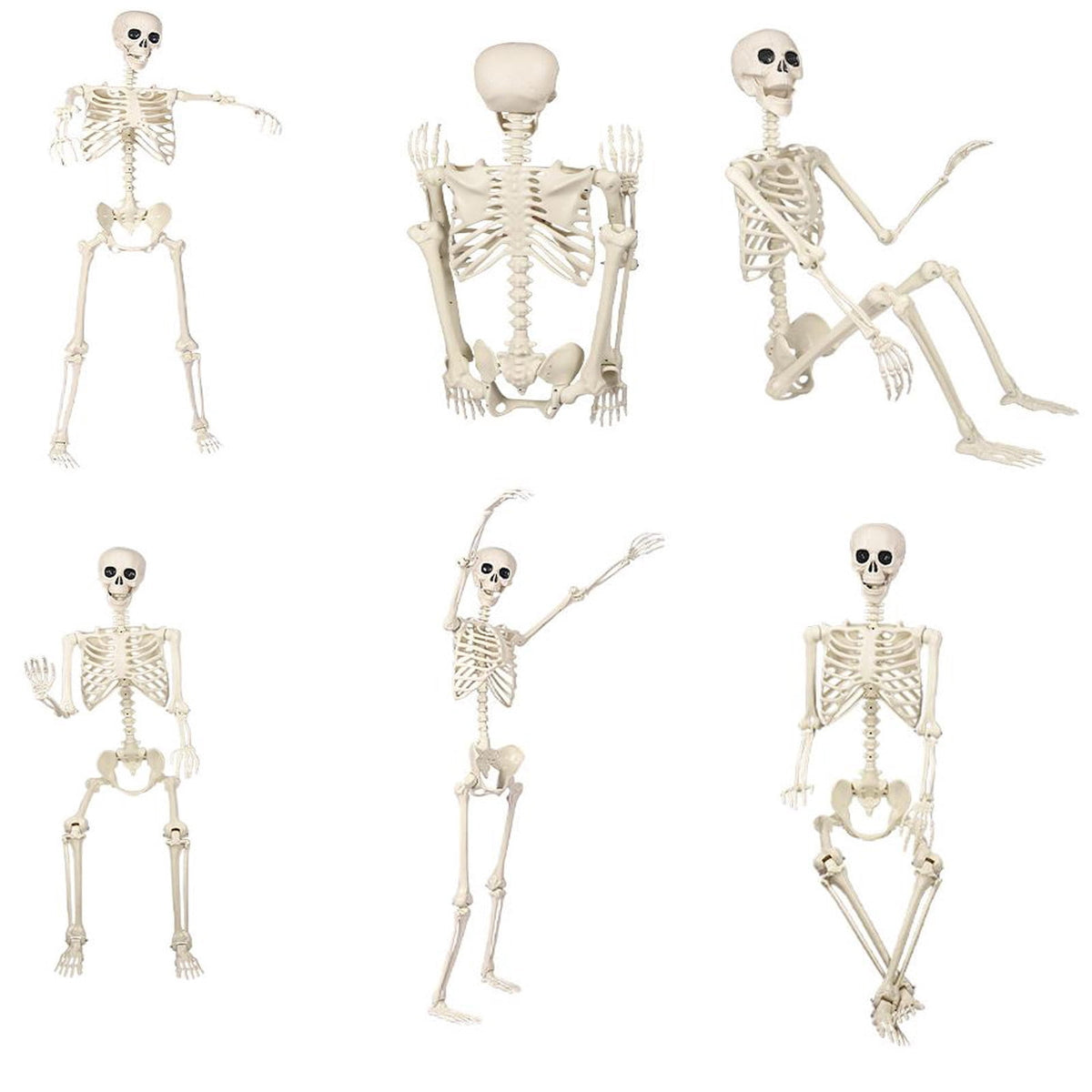 AUHomi 1 PC Halloween Skeleton, 15.7" Full Body Halloween Skeleton Decor with Movable Joints, Party Decorations, Halloween Outdoor Skeleton Decoration, Horror House Graveyard Props (S)