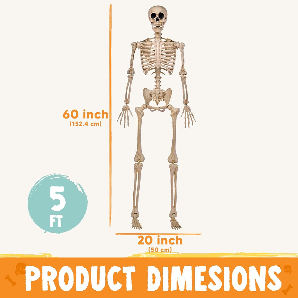 Joyfy 2 Pcs 24 Inch Halloween Skeleton Decor,2 FT Posable Skeleton Halloween Prop for Haunted House Indoor Outdoor Decoration Spooky Decor,Full Body with Movable Joints for Halloween Decoration
