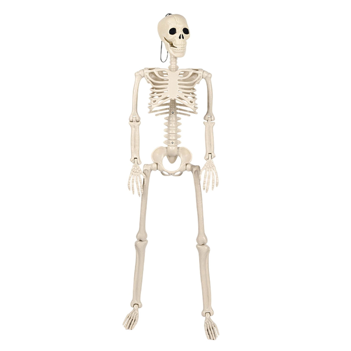 LmnLft Life Size Poseable Hanging Skeleton Decoration with Movable Joints, Full Body Halloween Prop for Indoor Outdoor Yard Party Displays