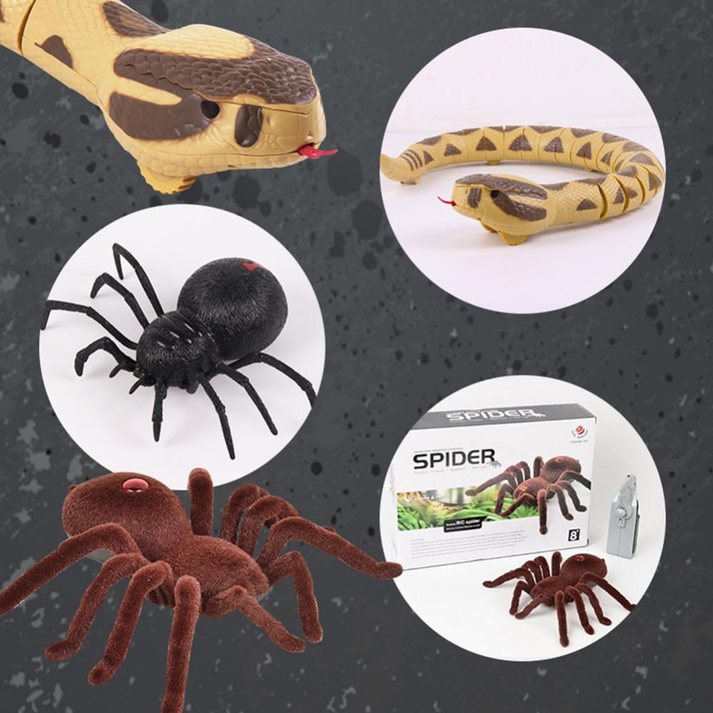 Freemasonry (Paperback)