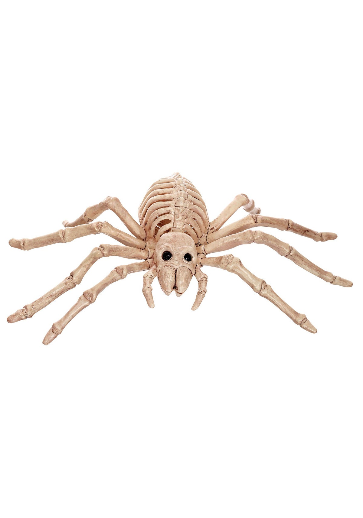 Official Crazybonez Faux Rat Skeleton