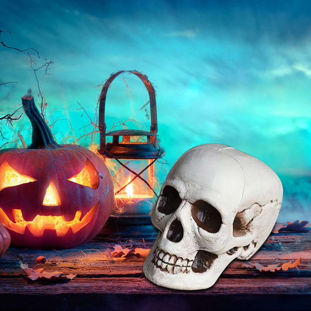Darzheoy Halloween Skulls Halloween Skeletons Realistic Fake Simulation Human Skull Head Model Halloween Prop Realistic Mini Skeleton Spooky Halloween Decoration